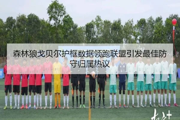 森林狼戈贝尔护框数据领跑联盟引发最佳防守归属热议
