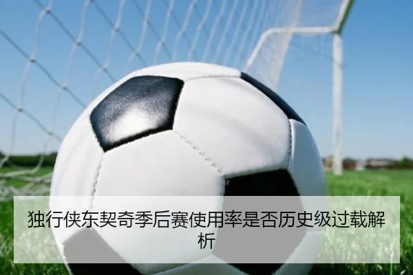 独行侠东契奇季后赛使用率是否历史级过载解析