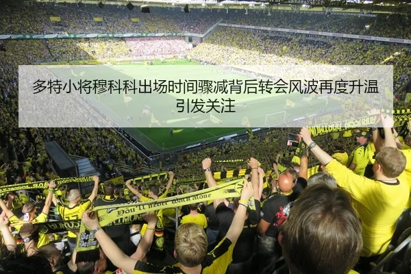 多特小将穆科科出场时间骤减背后转会风波再度升温引发关注