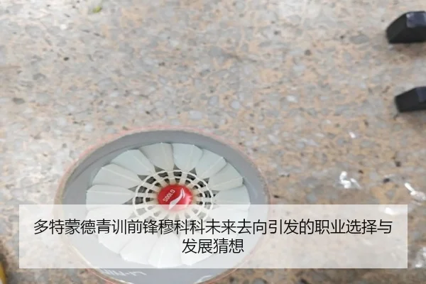 多特蒙德青训前锋穆科科未来去向引发的职业选择与发展猜想