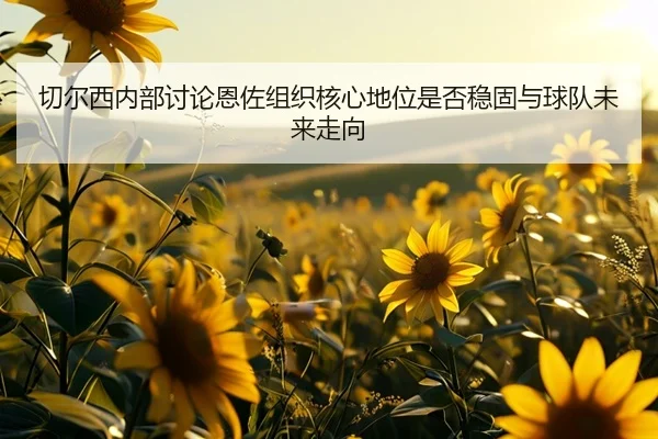 切尔西内部讨论恩佐组织核心地位是否稳固与球队未来走向
